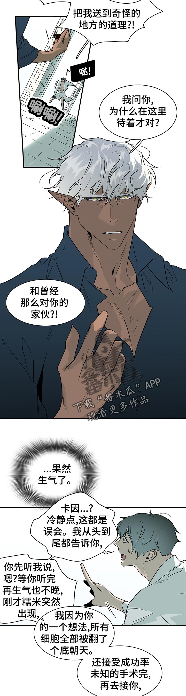 第173章：胜利11