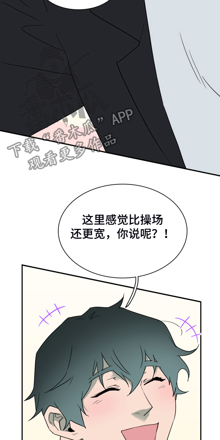 第249章：【番外】期待的洞房5