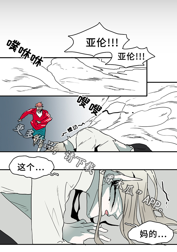 第72章：转机0
