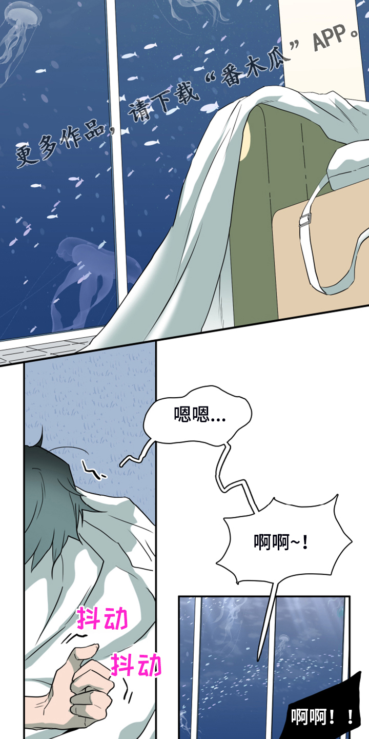 第252章：【番外】更重要的事1
