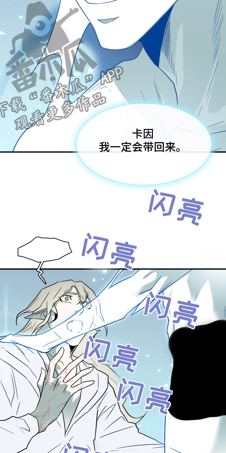 第242章：是真的吗4