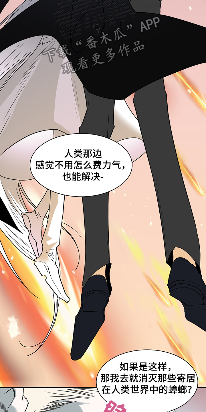 第232章：天使与恶魔的合作8