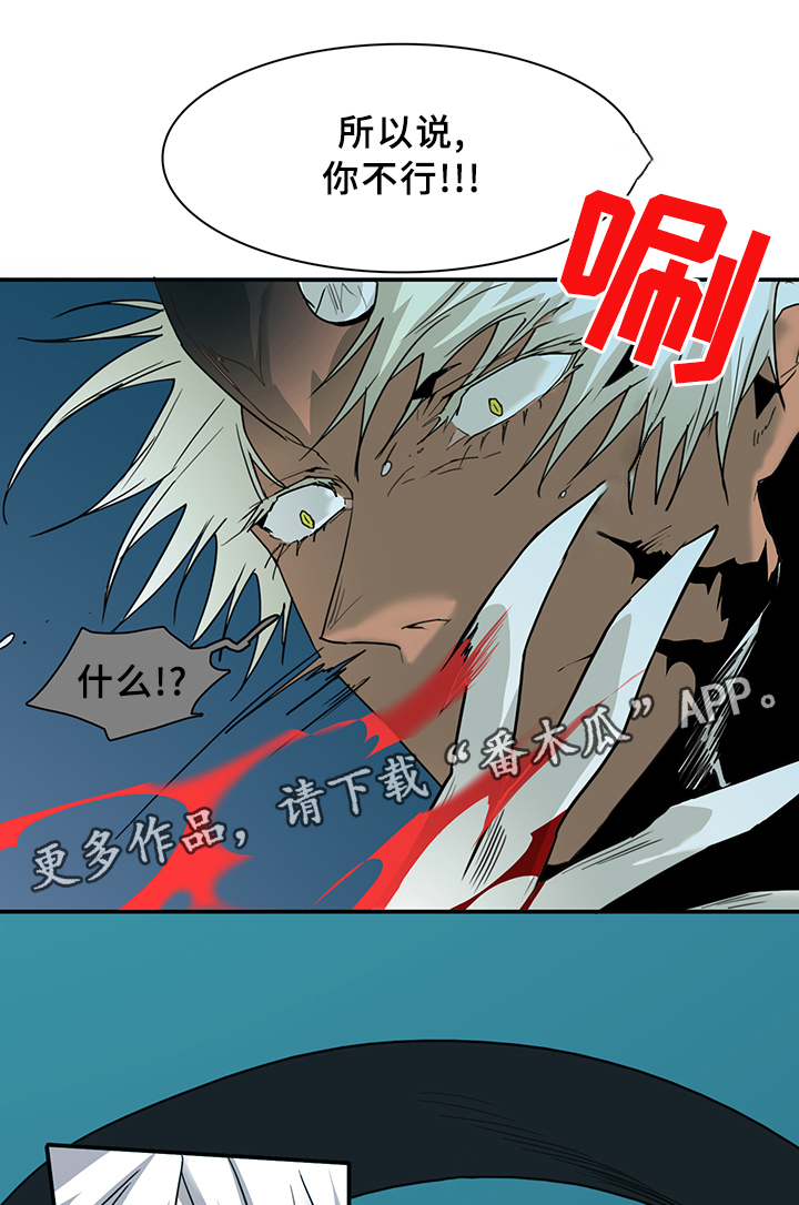 第81章：选择14