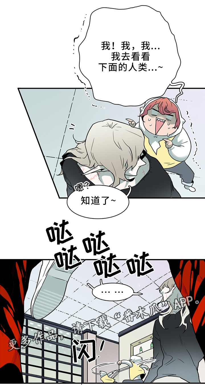第105章：进入结界10