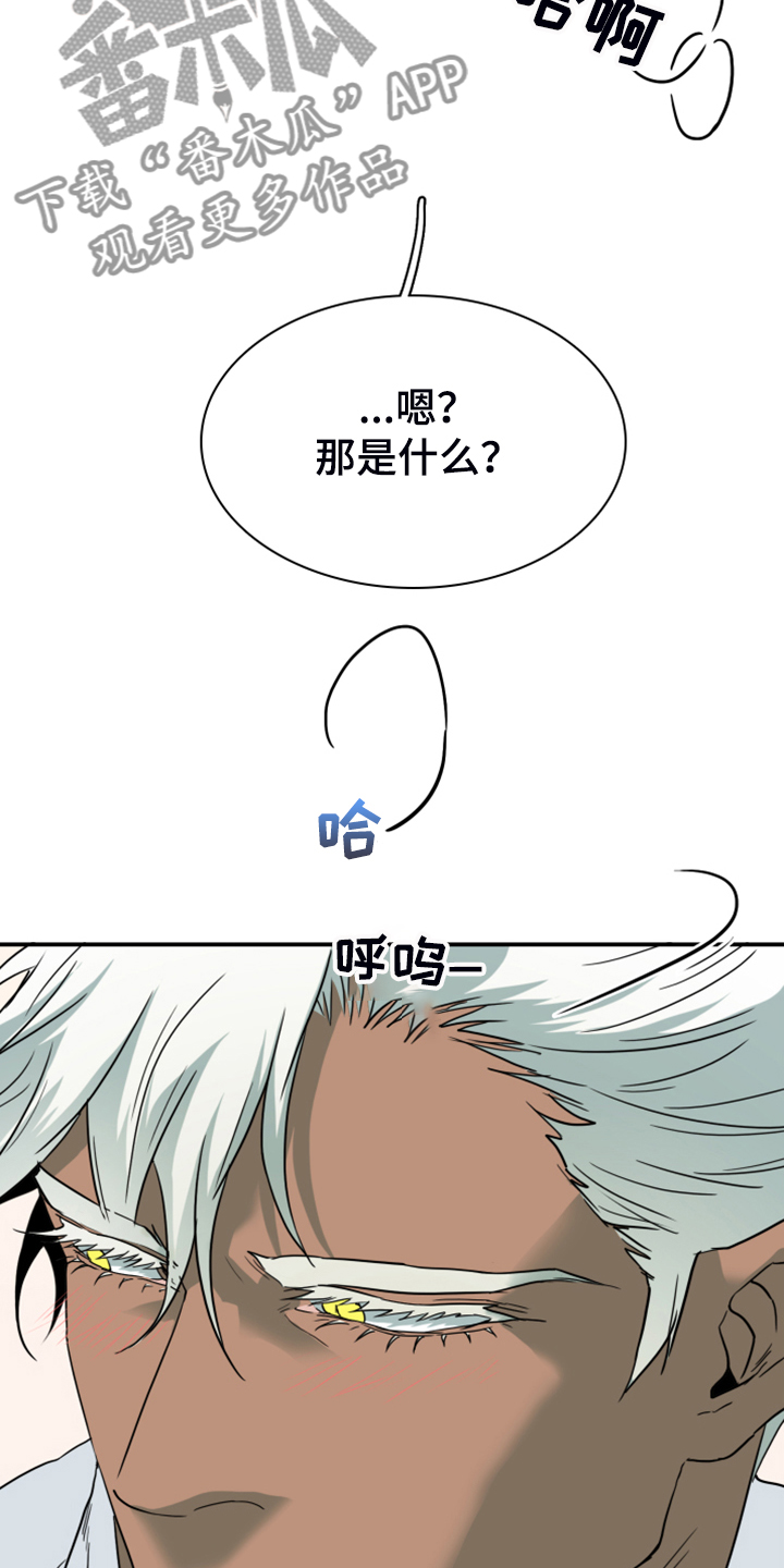 第249章：【番外】期待的洞房30