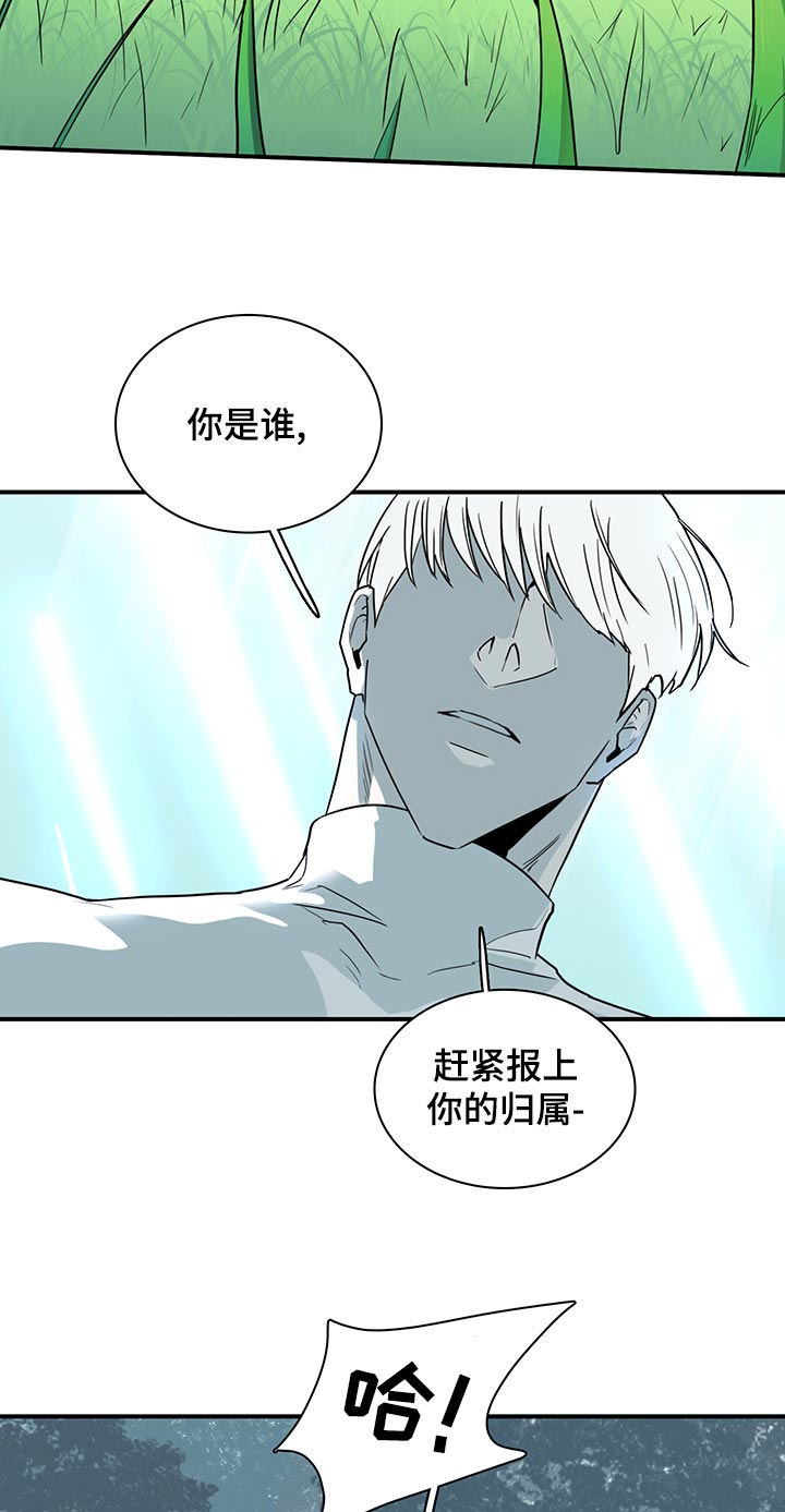 第169章：全部吸收4