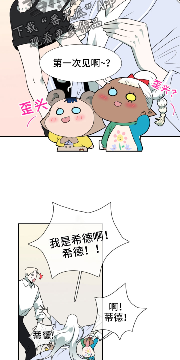 第288章：【番外】粉丝团+16