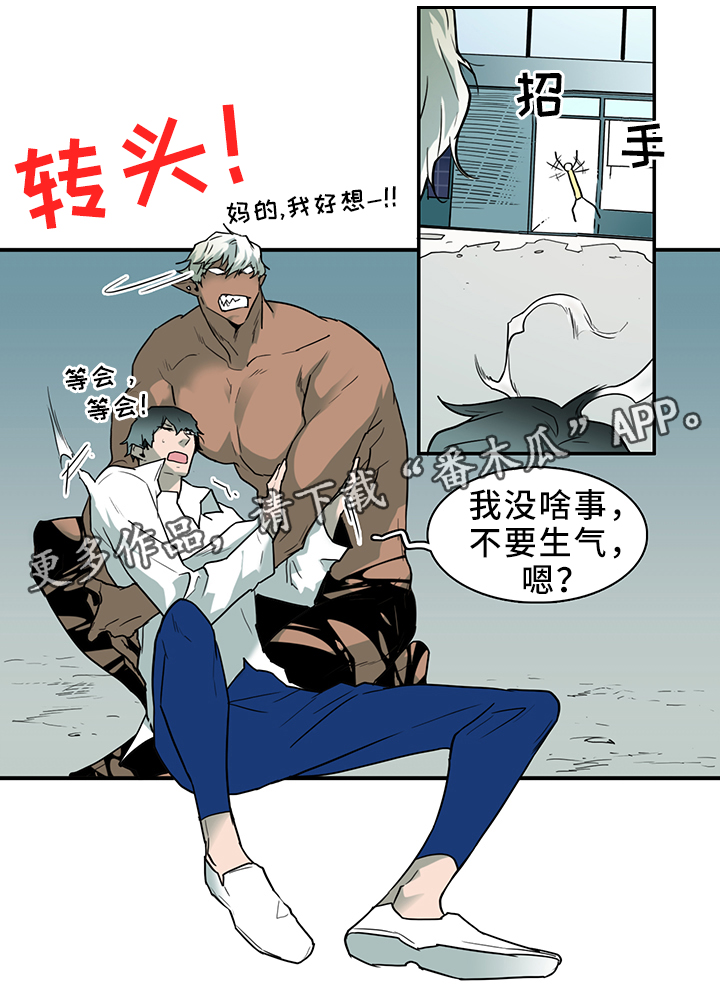 第105章：进入结界4