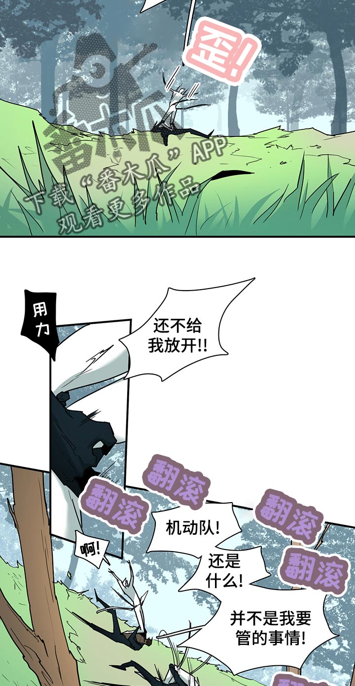 第169章：全部吸收5
