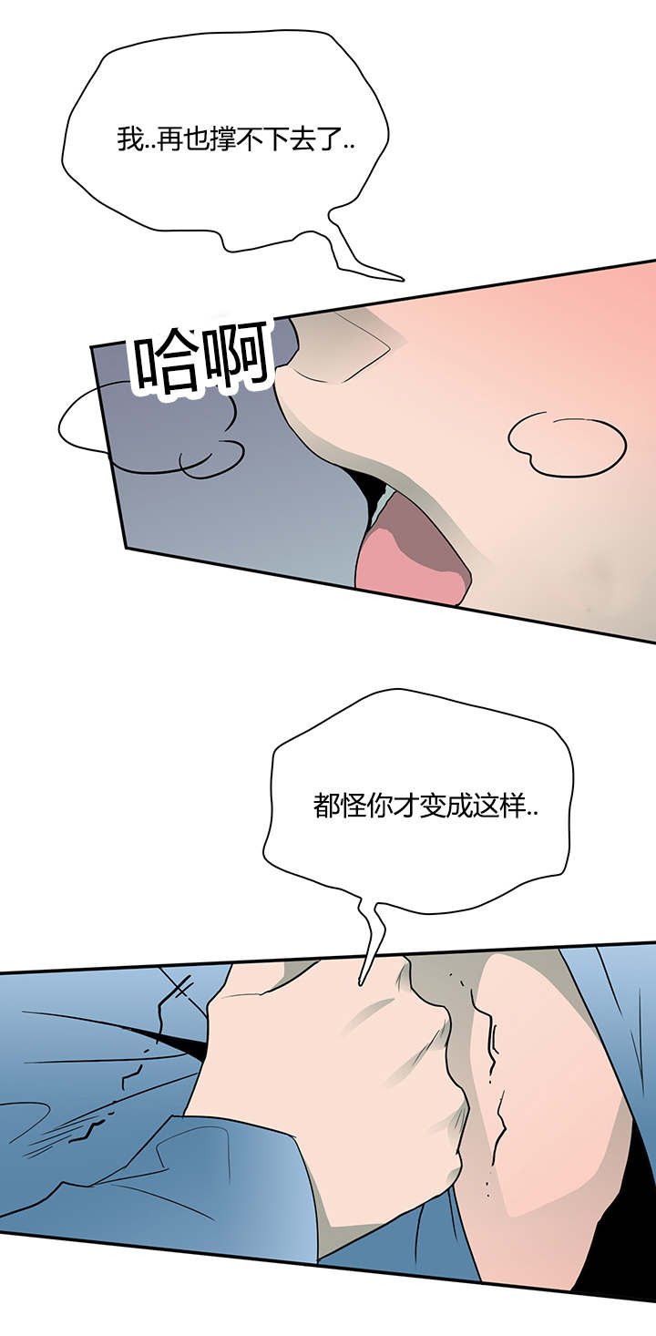 第21章：幻觉12