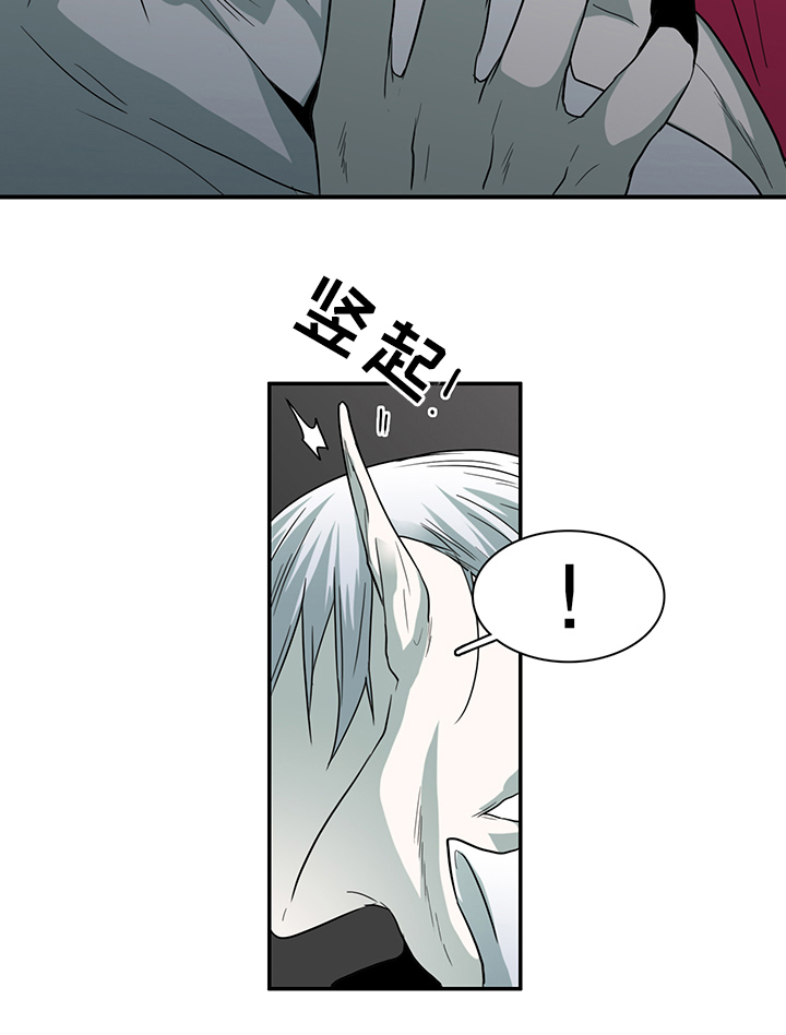 第88章：神秘人14