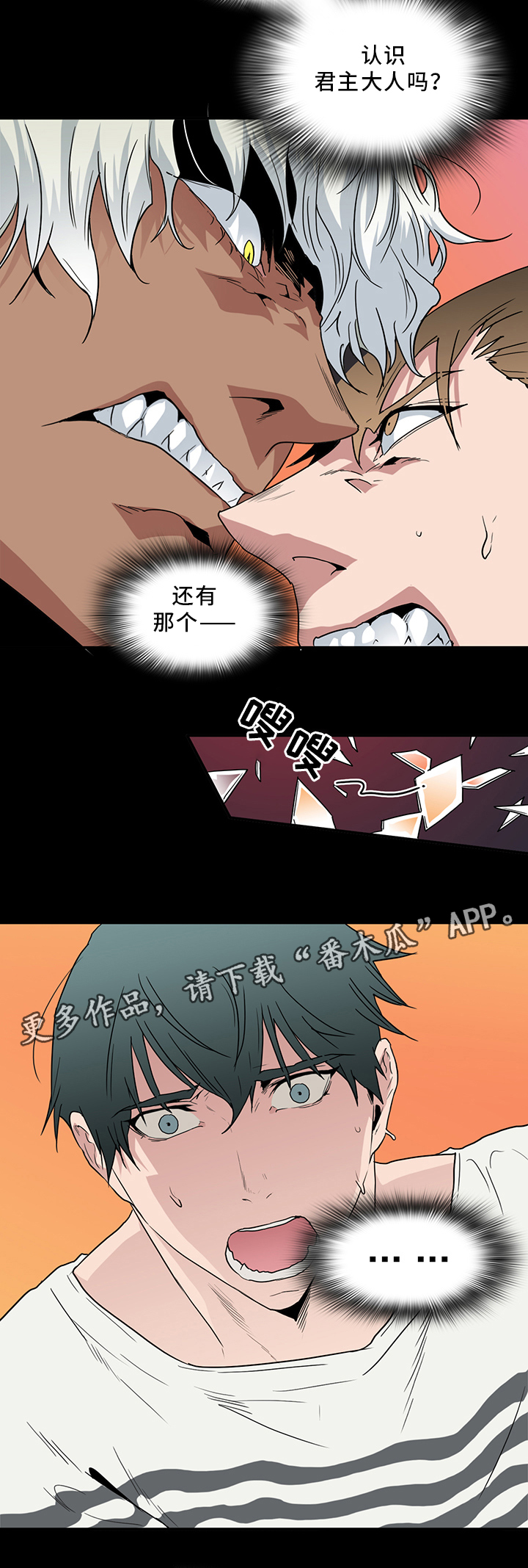 第88章：神秘人10