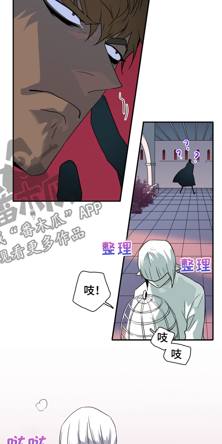 第245章：神性诞生33