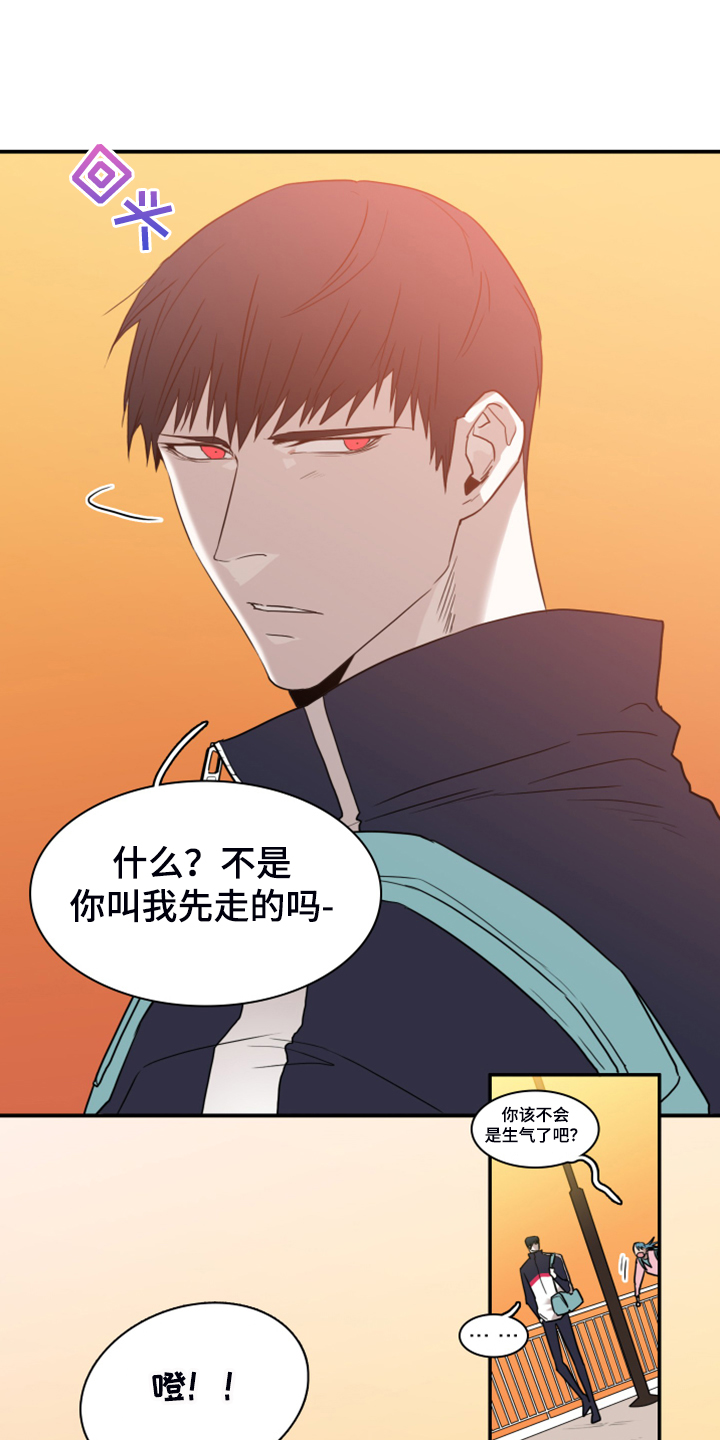 第246章：【完结】回归的人10
