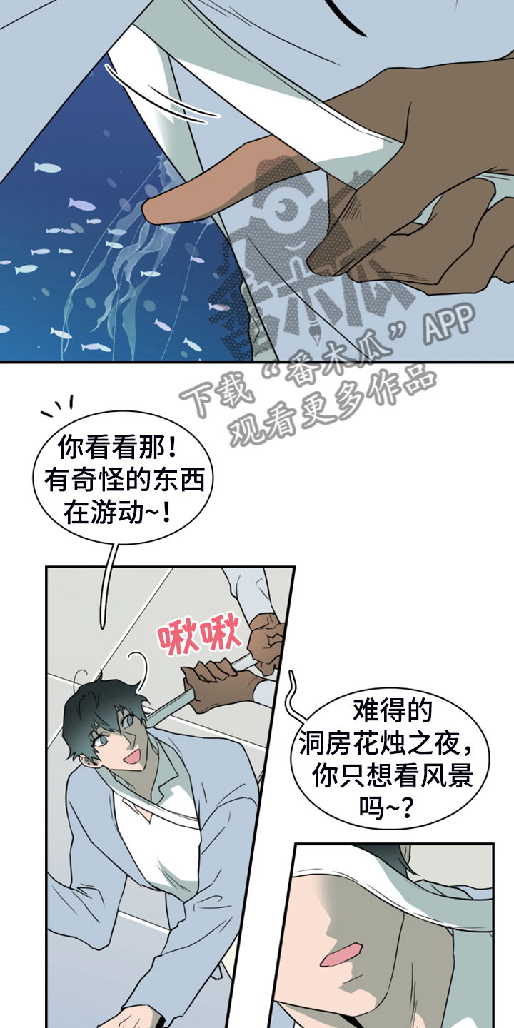 第249章：【番外】期待的洞房18
