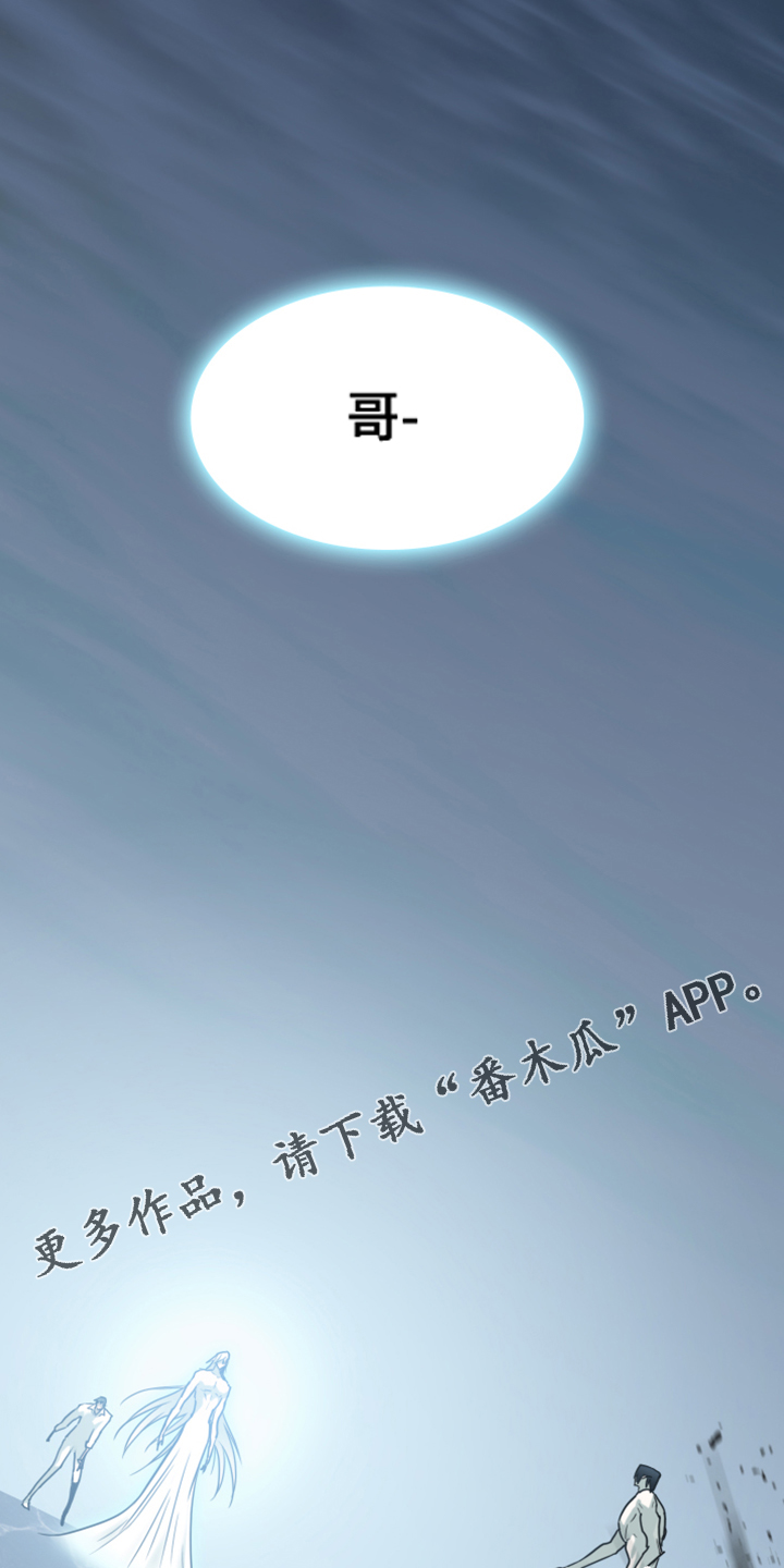 第243章：回归于无0