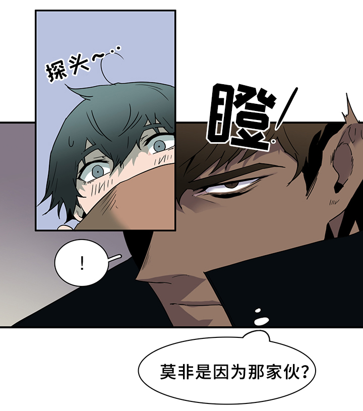 第95章：不留活口10