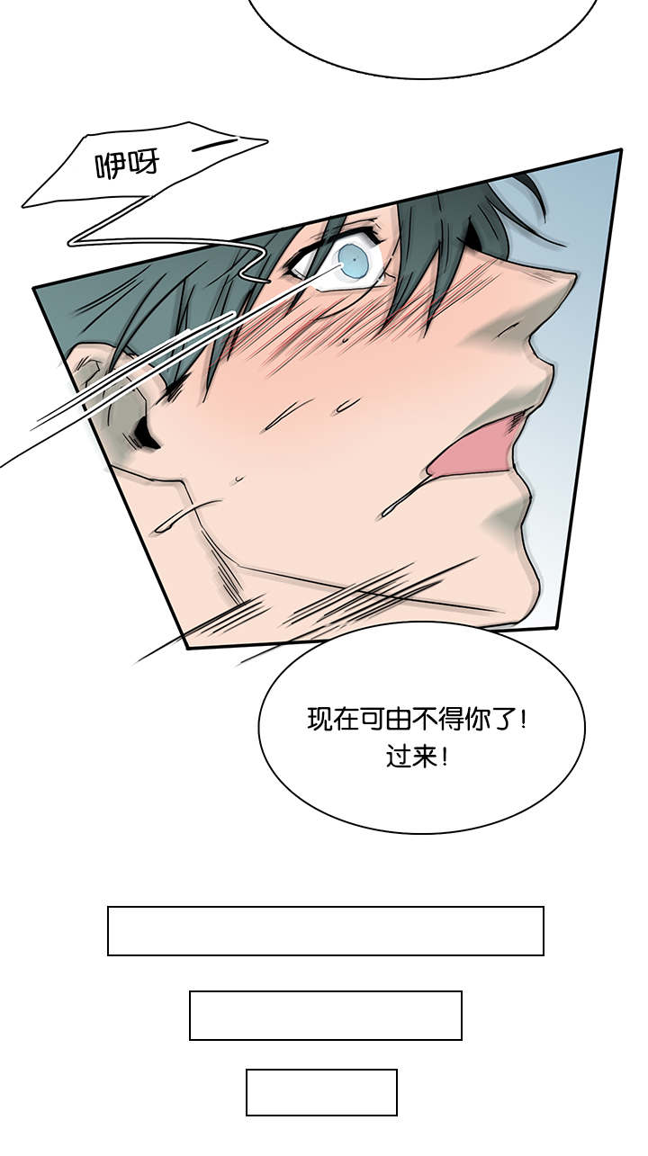 第55章：来客8