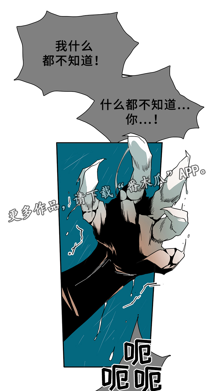 第81章：选择10