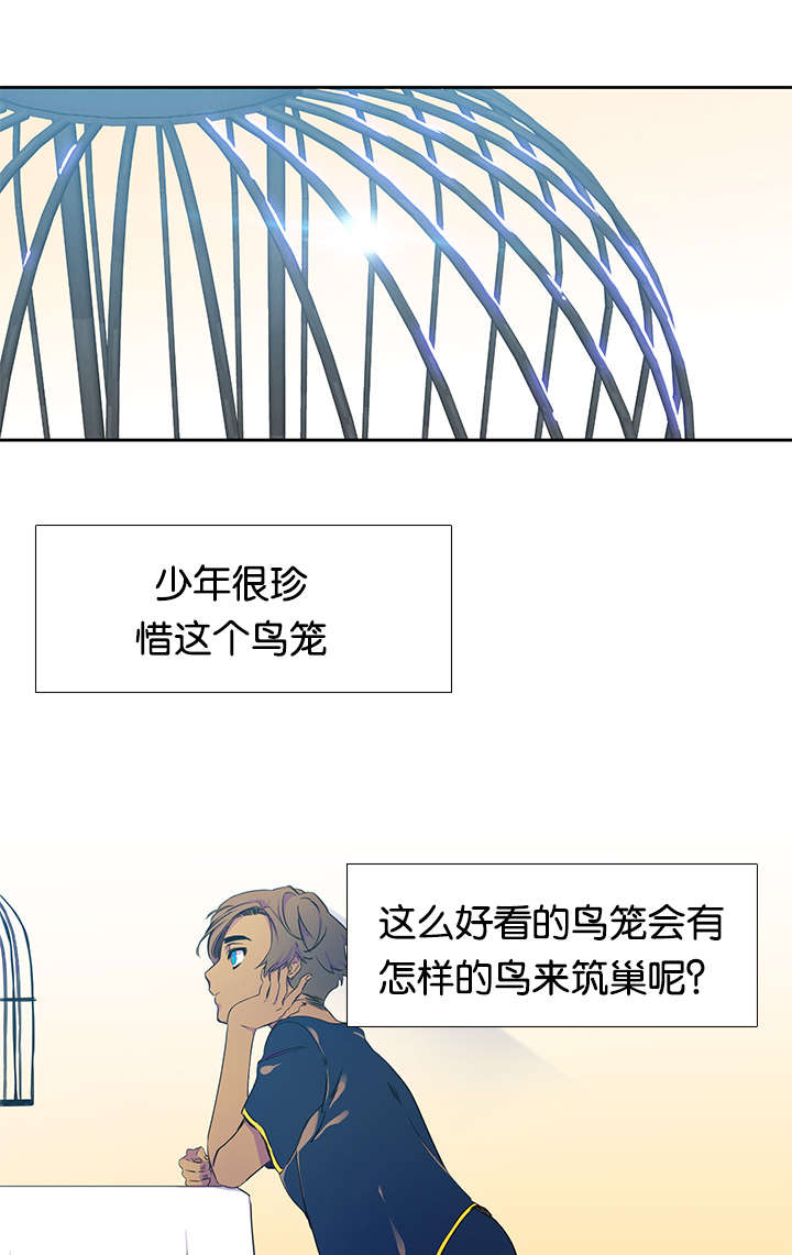 第25章：鸟笼13