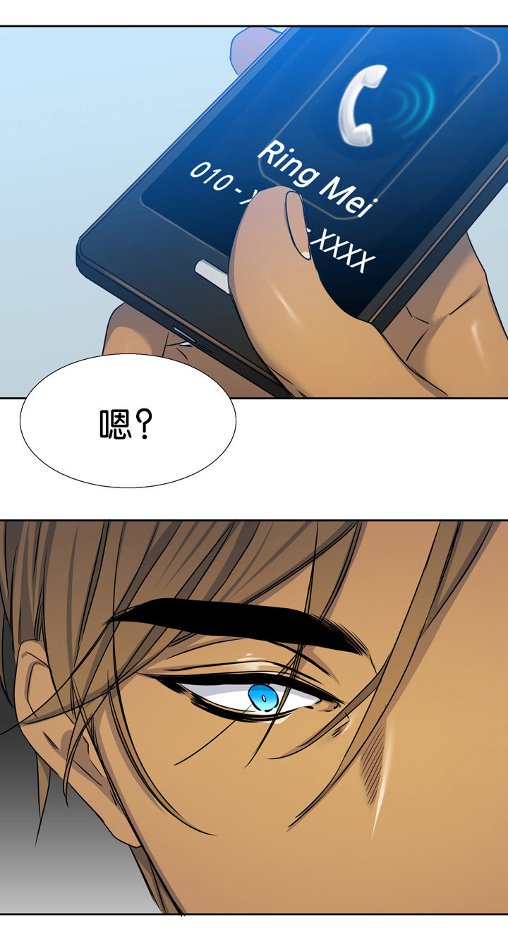 第17章：诚实17