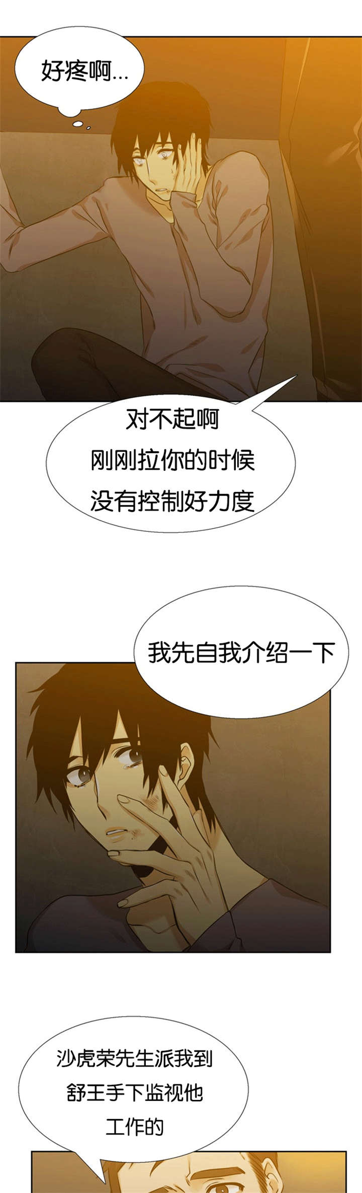 第60章：暗中保护10