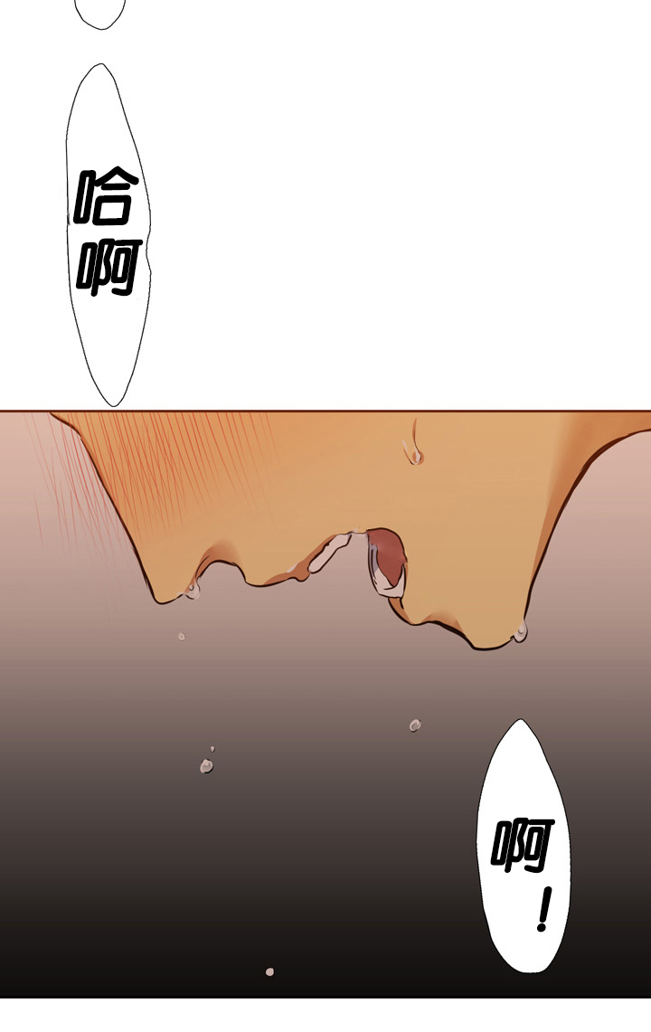 第15章：亏欠15