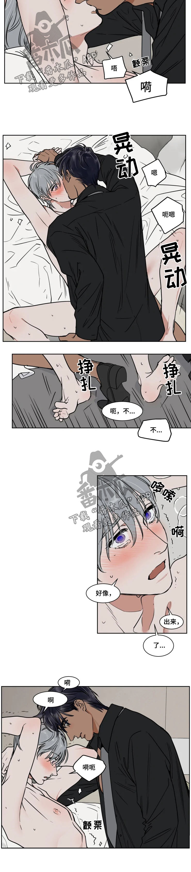 第84章：臭怂蛋3