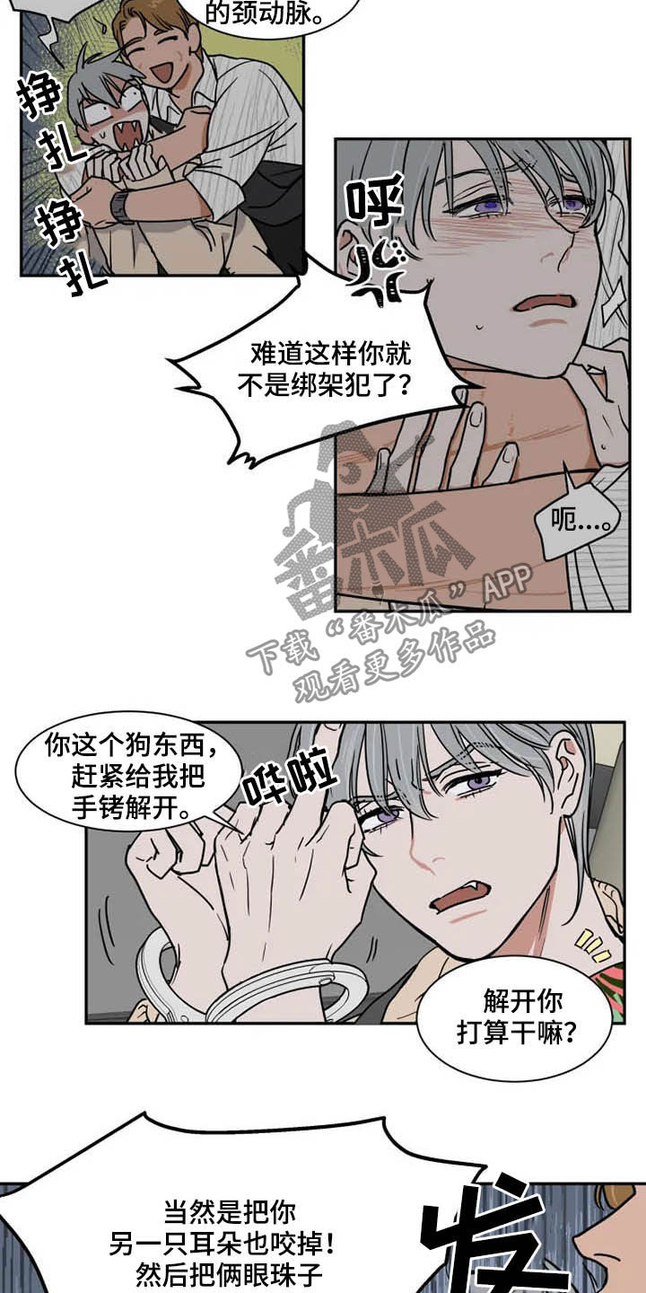 第87章：绑架犯13