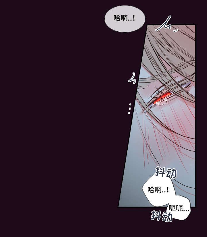第40章：你这狗子7