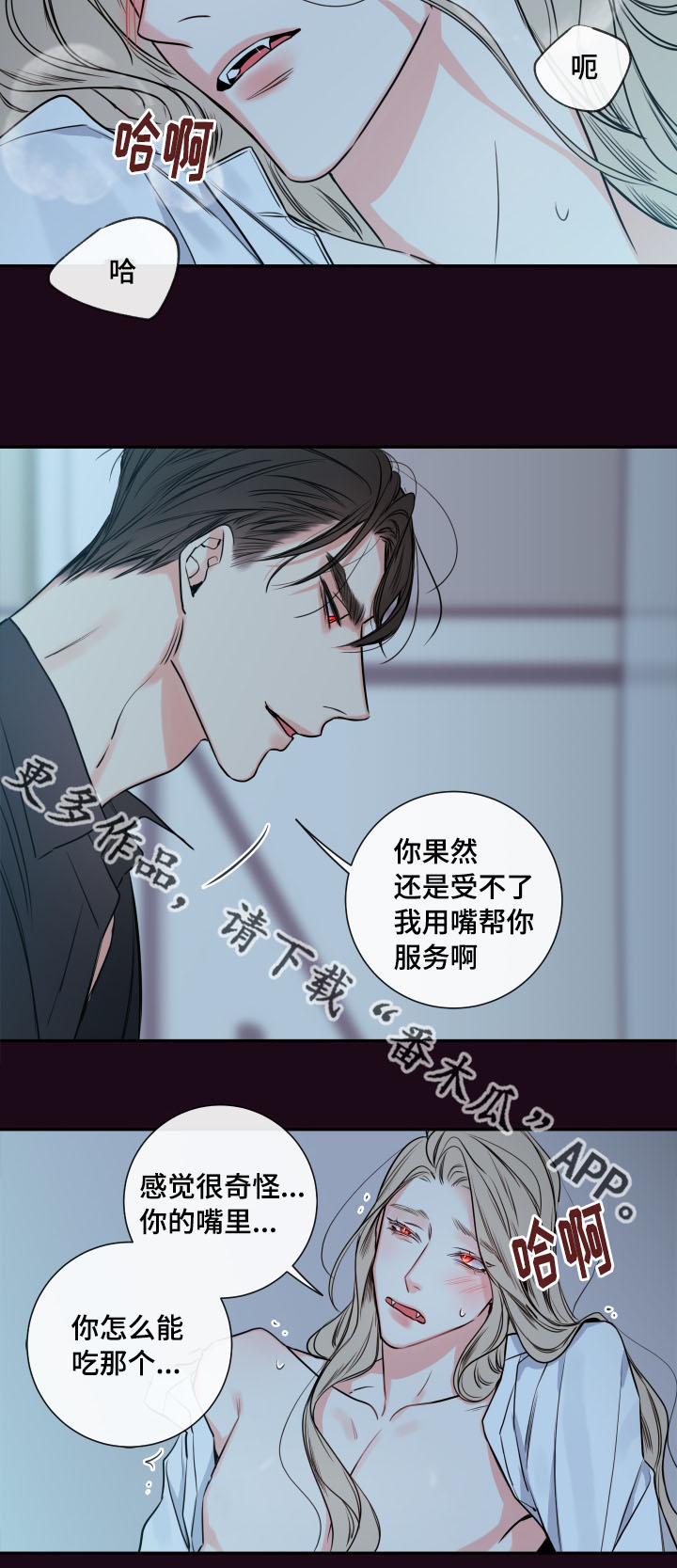 第39章：夜很长1