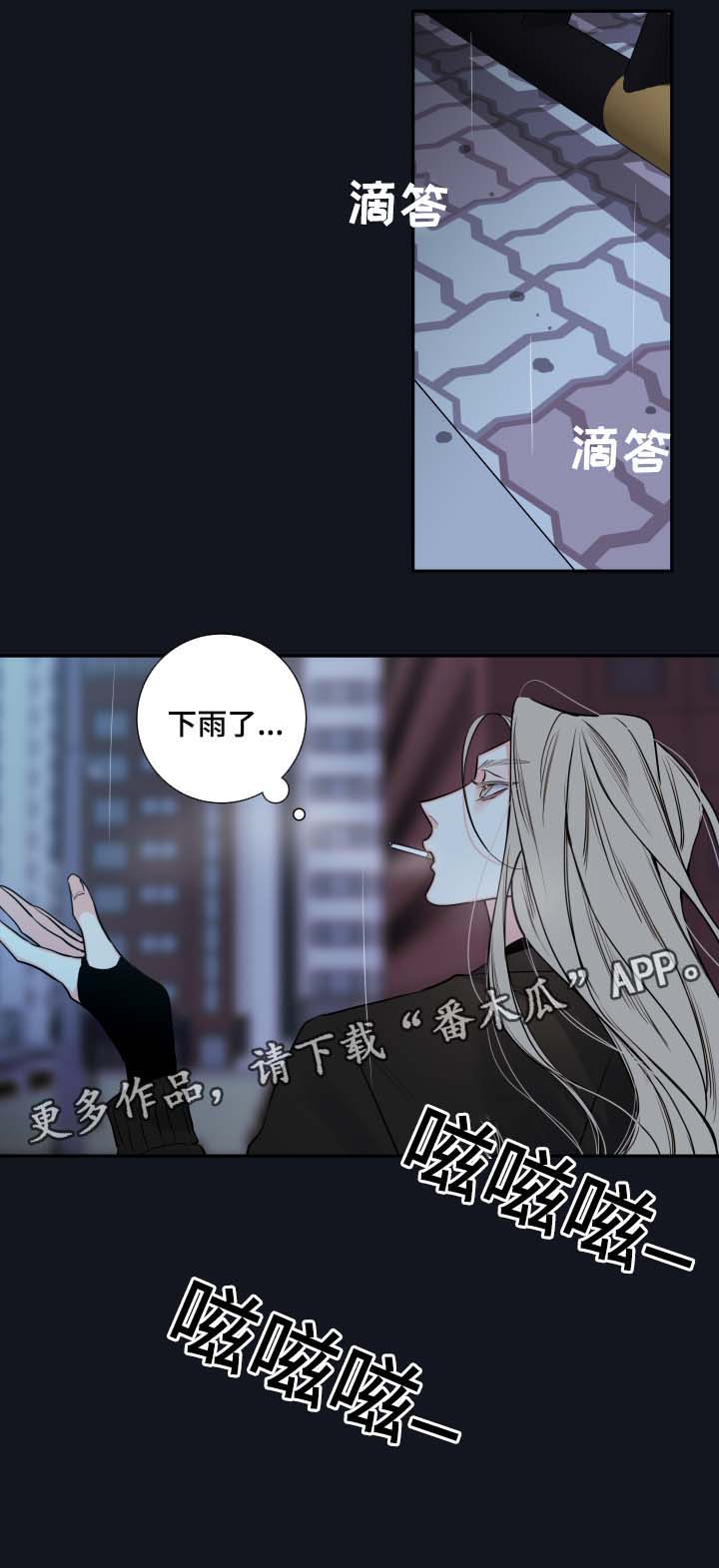 第52章：一模一样的人18