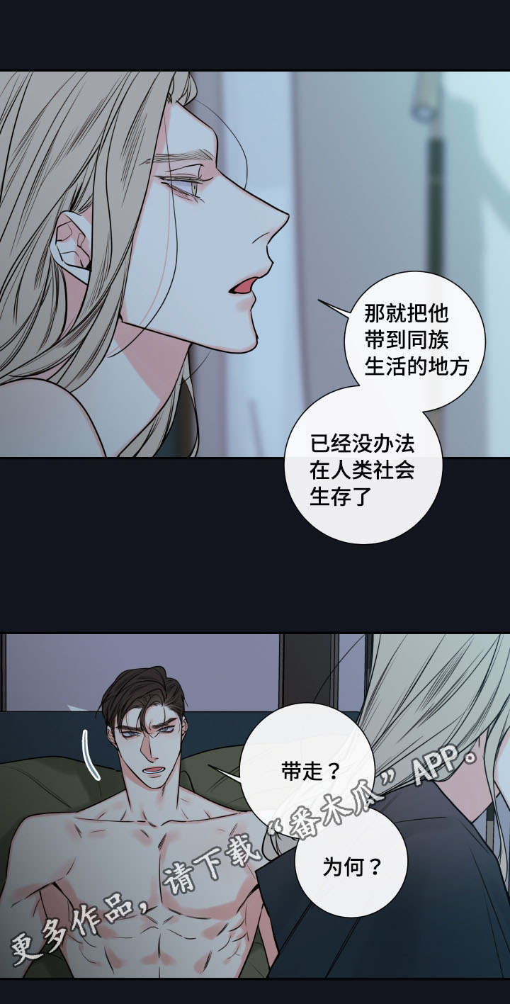 第41章：确认现状6