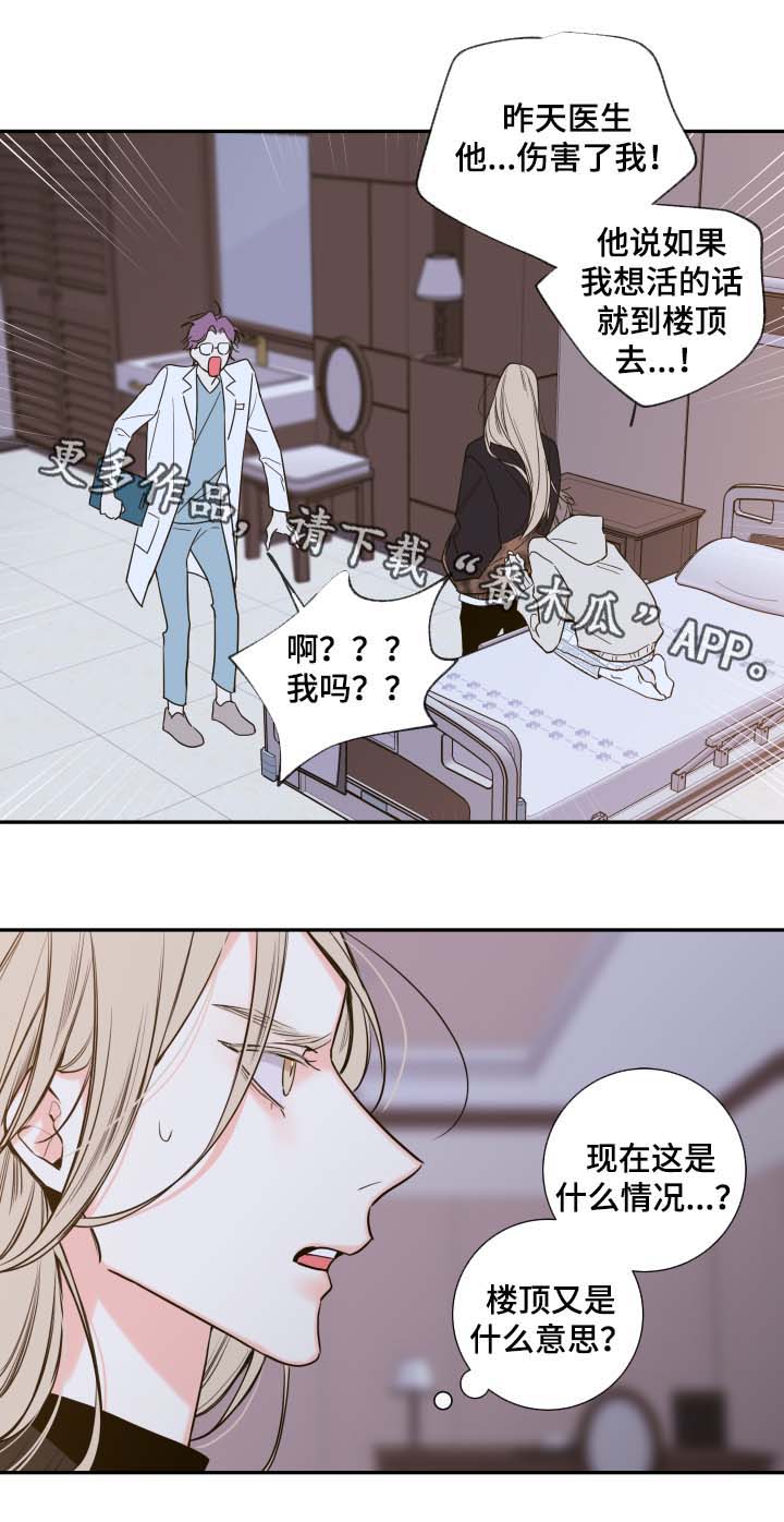 第52章：一模一样的人2