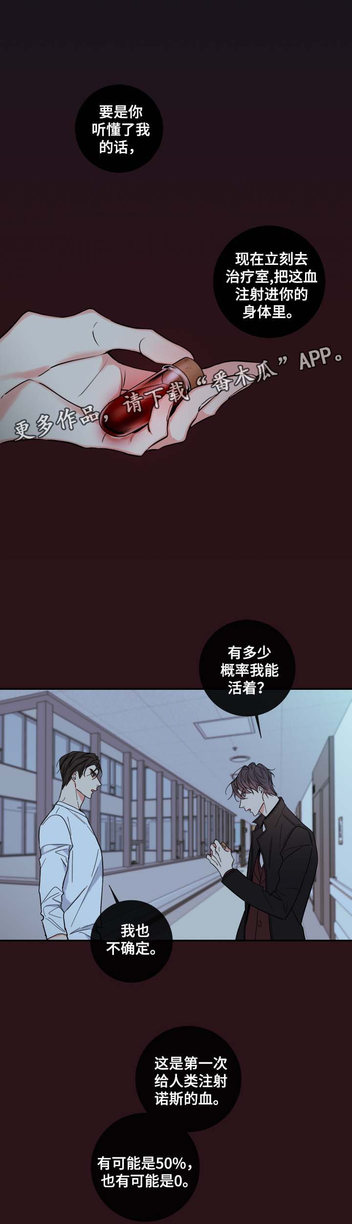 第59章：赌一把3