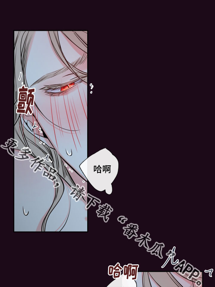 第39章：夜很长4