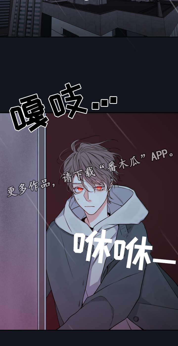 第52章：一模一样的人21