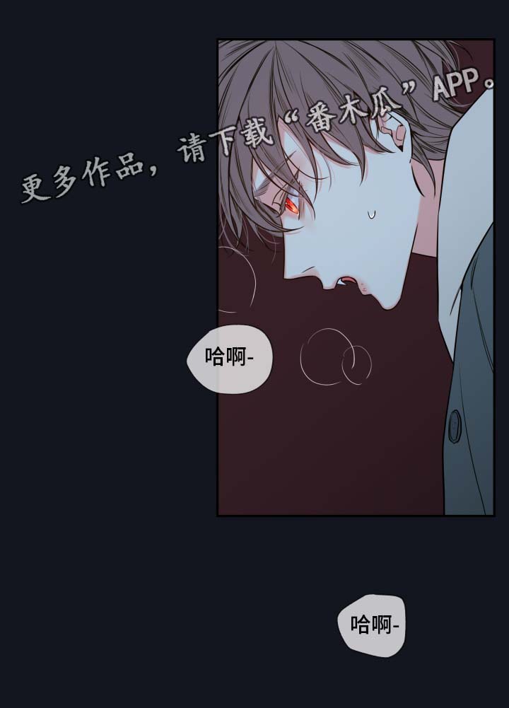 第52章：一模一样的人10