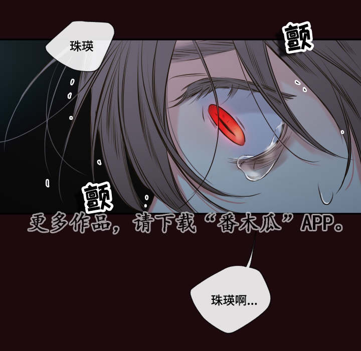 第31章：唯一的依靠16