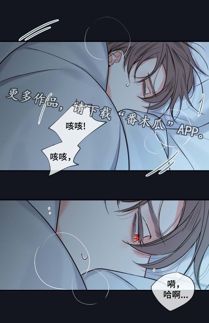 第43章：寻找5