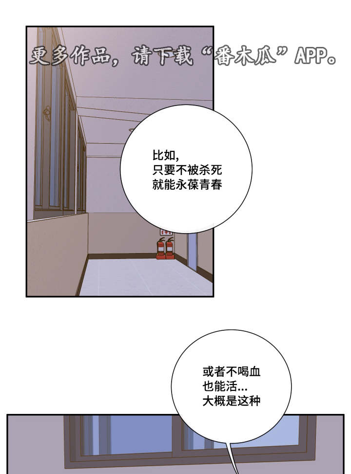 第20章：诺斯8