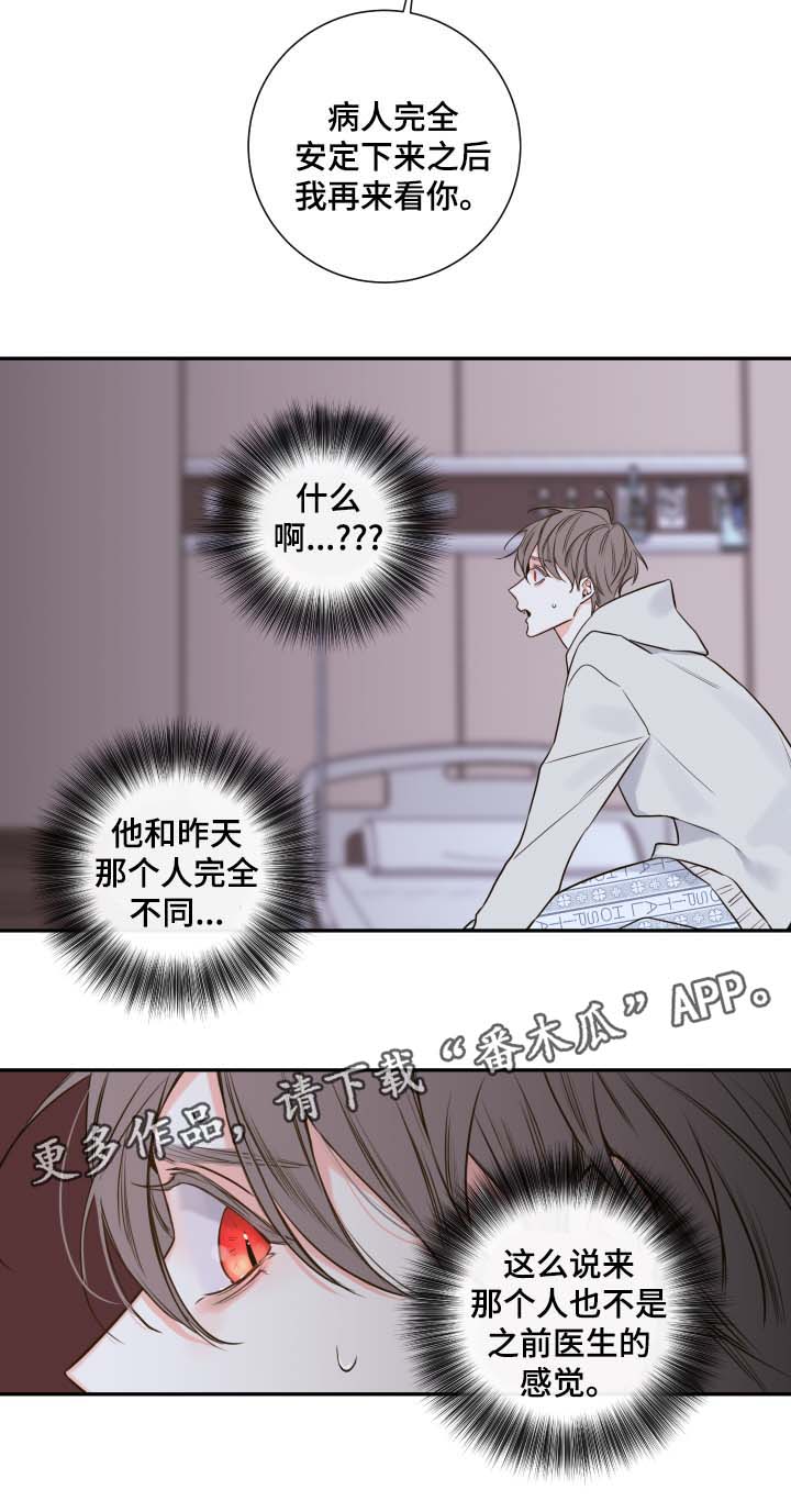 第52章：一模一样的人4