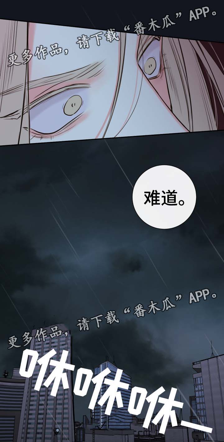 第52章：一模一样的人20