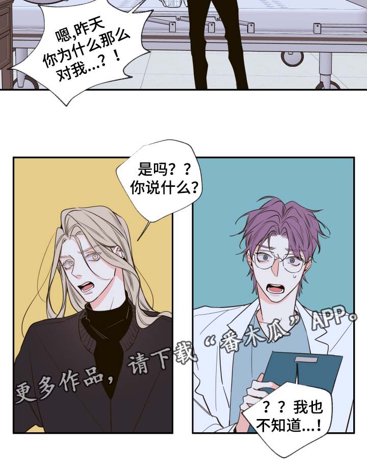 第52章：一模一样的人1