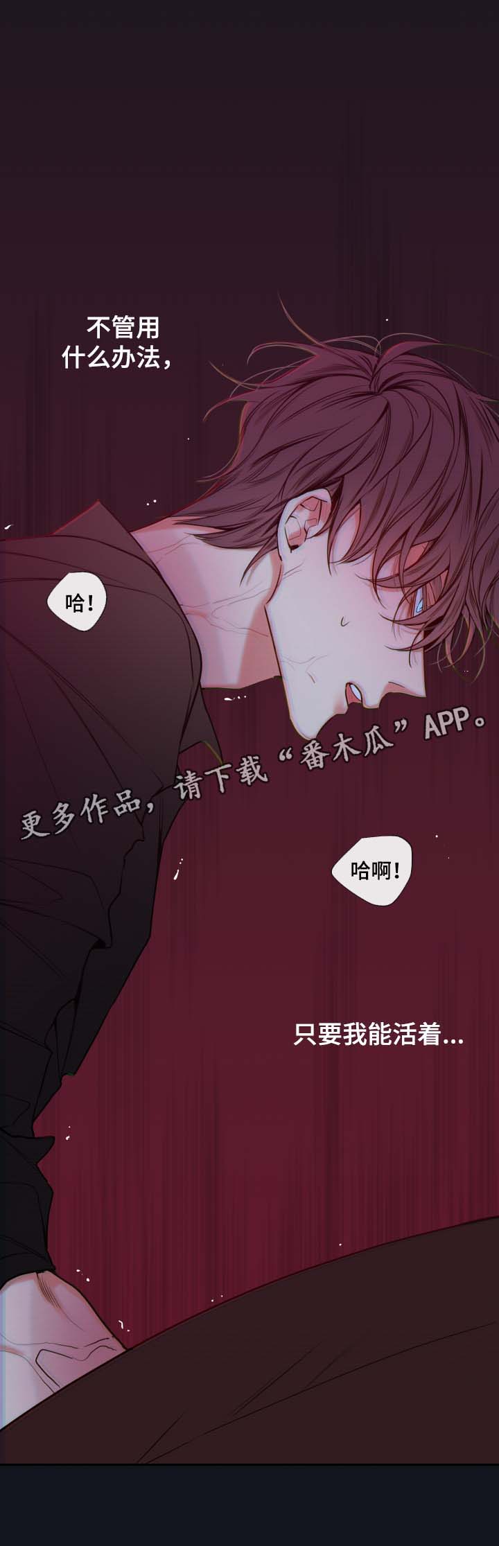第59章：赌一把9