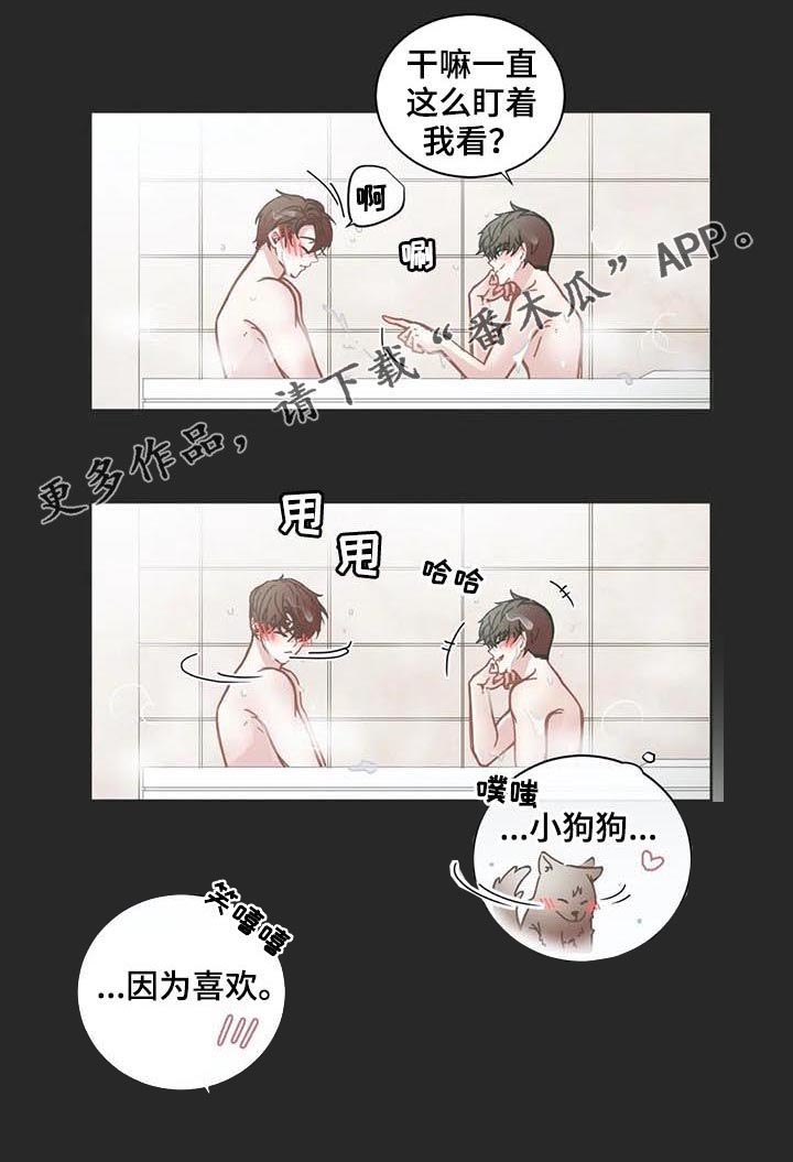 第121章：完美的人0