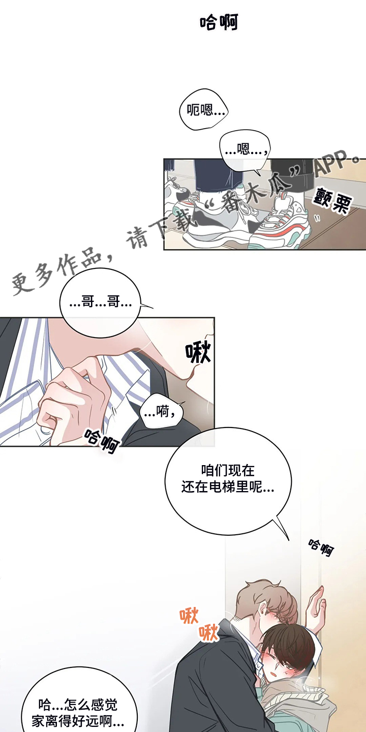 第203章：证明猜想0