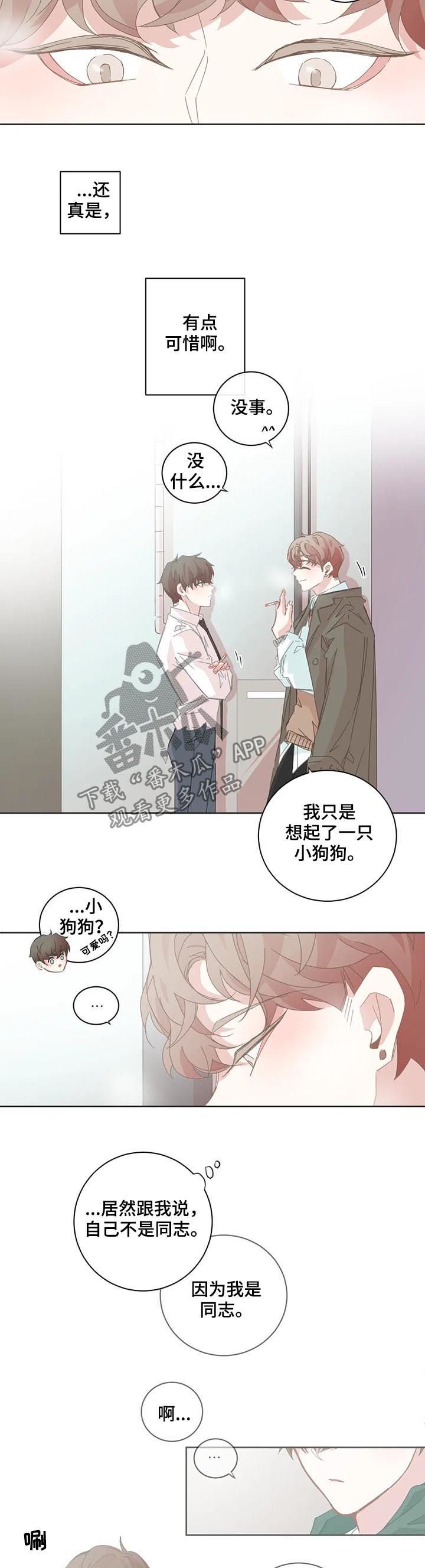 第85章：小狗太凶5
