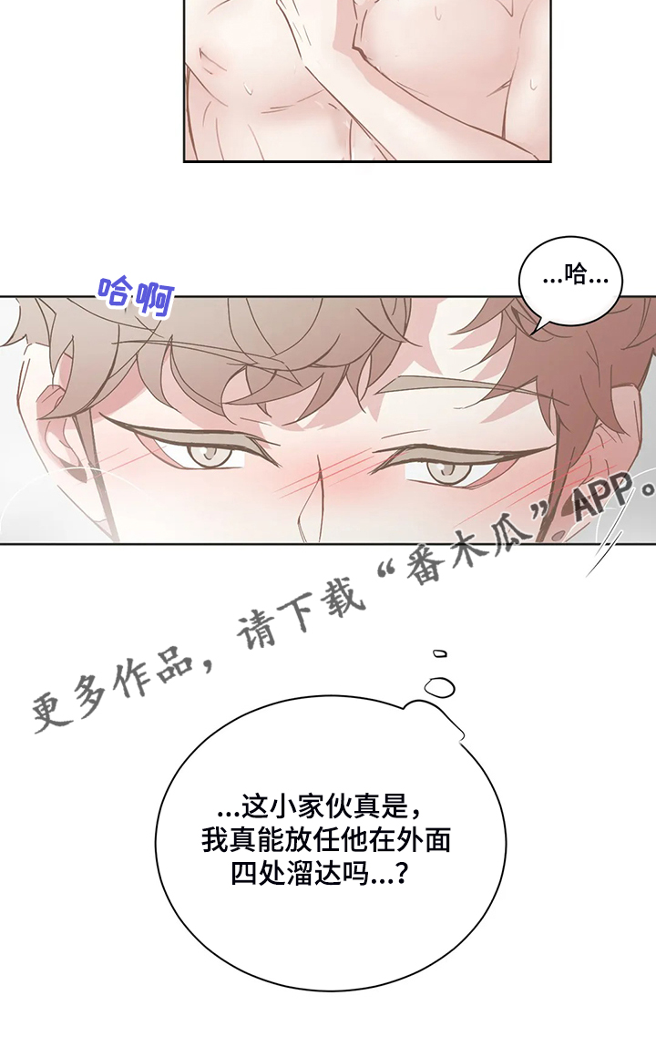 第240章：真不能放心16