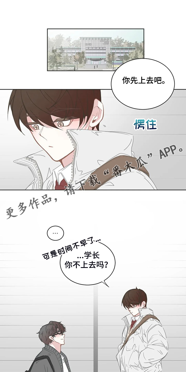 第252章：同一个牌子0